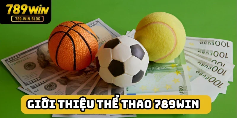 Thể thao 789win hạng mục nổi trội tại nền tảng Thể thao 789win hạng mục nổi trội tại nền tảng