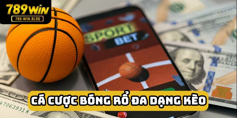 Cực nhiều lựa chọn để bạn trổ tài đoán định Cực nhiều lựa chọn để bạn trổ tài đoán định