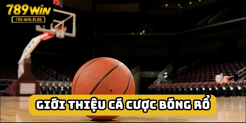 Cá cược bóng rổ là xuống tiền cho kèo của môn thi này Cá cược bóng rổ là xuống tiền cho kèo của môn thi này