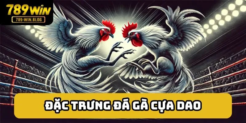 Đặc trưng tạo nên sức hút của đá gà cựa dao Đặc trưng tạo nên sức hút của đá gà cựa dao